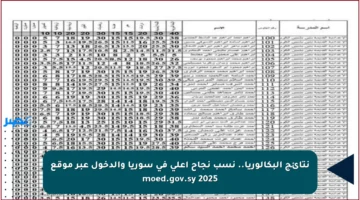 نتائج البكالوريا.. نسب نجاح أعلى في سوريا والدخول عبر موقع moed.gov.sy 2025
